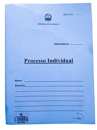 CAPA DE PROCESSO INDIVIDUAL