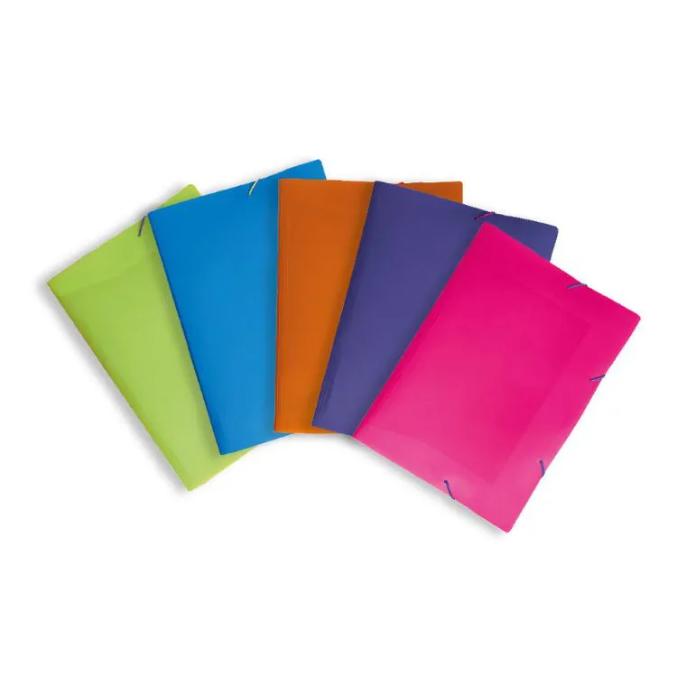 PASTA ELASTICAS COM DURA CORES CLASSICAS SORTIDAS A4