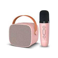 COLUNA BLUETOOTH COM MICROFONE CASTANHA E ROSA